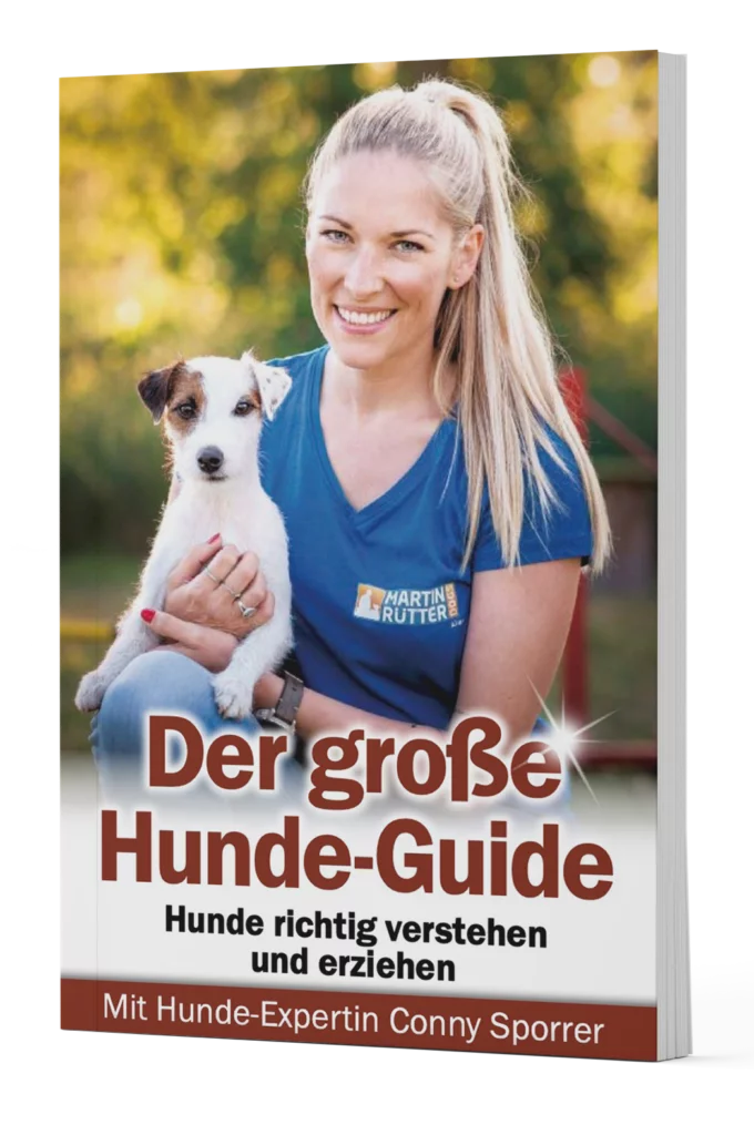 Buchcover: Der große Hunde-Guide von Conny Sporrer